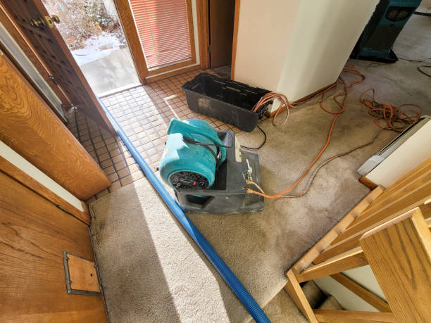 Best Ceiling water damage repair  in Necedah, WI