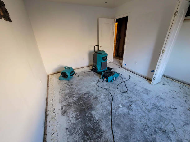 Best Water damage restoration cost  in Necedah, WI