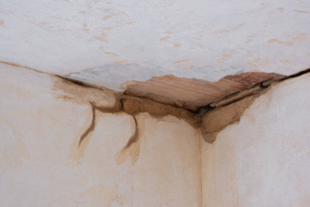 Best Sewage cleanup and water damage restoration  in Necedah, WI