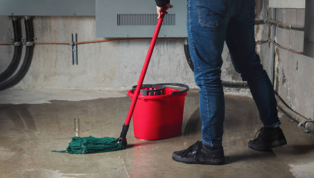 Best Carpet water damage restoration  in Necedah, WI