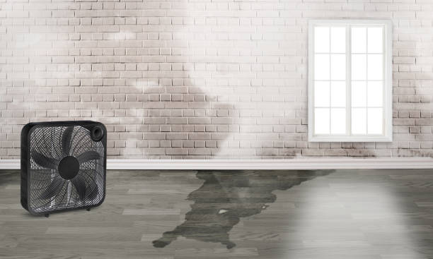 Carpet water damage restoration in Necedah, WI