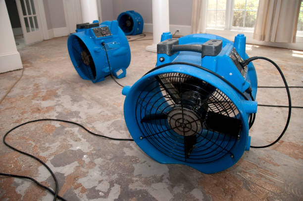 Best Water damage cleanup near me  in Necedah, WI