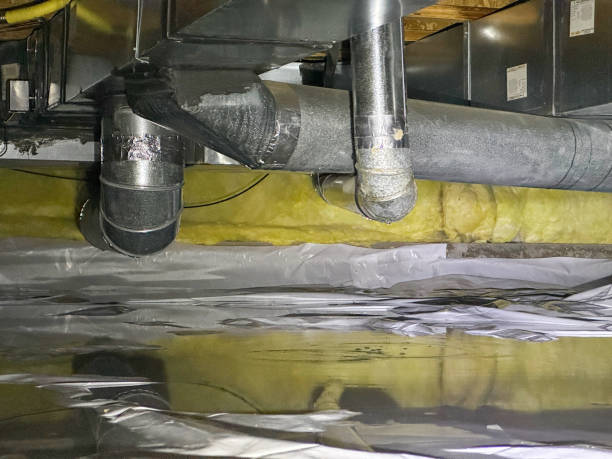 Best Water damage repair service  in Necedah, WI