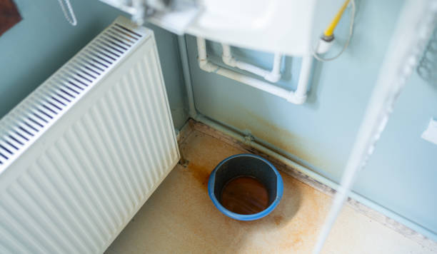 Best 24/7 water damage repair  in Necedah, WI