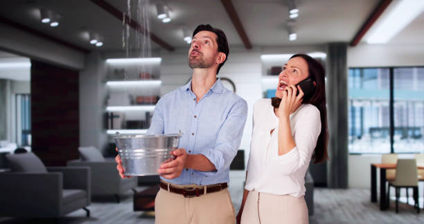 Best Water damage cleanup near me  in Necedah, WI