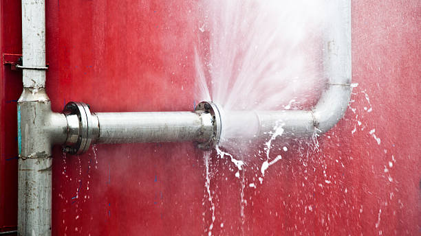 Best Carpet water damage restoration  in Necedah, WI